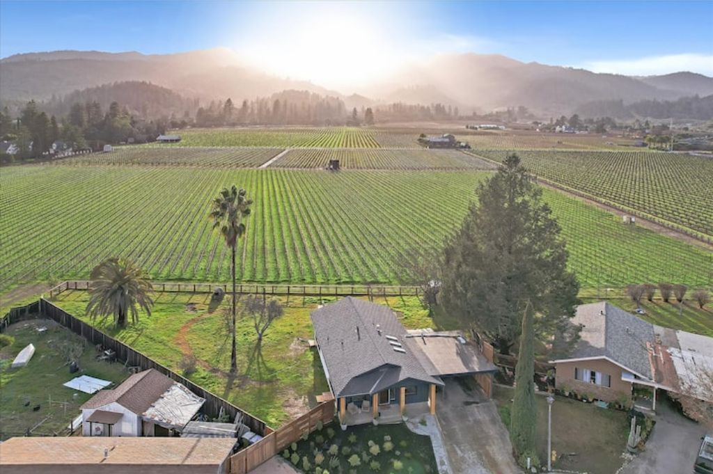 Photo of Outdoor in St. Helena