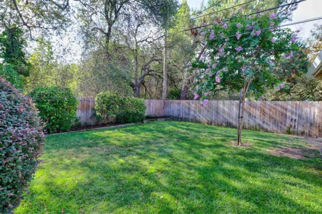 Photo of Outdoor in Roseville