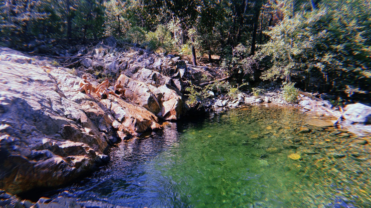 Photo of Others in Sierra City