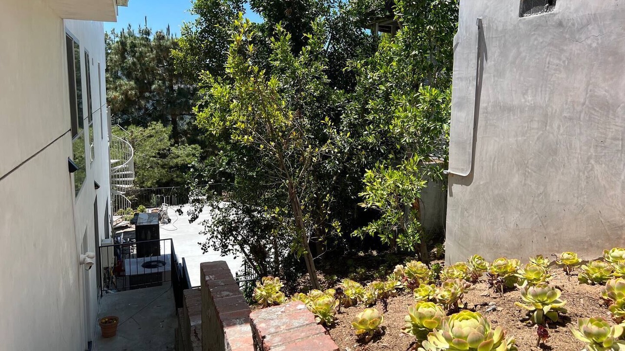 Photo of Outdoor in Hollywood Hills West