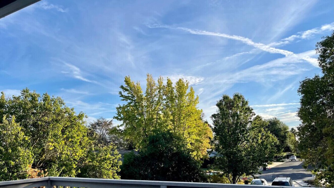 Photo of Outdoor in Concord