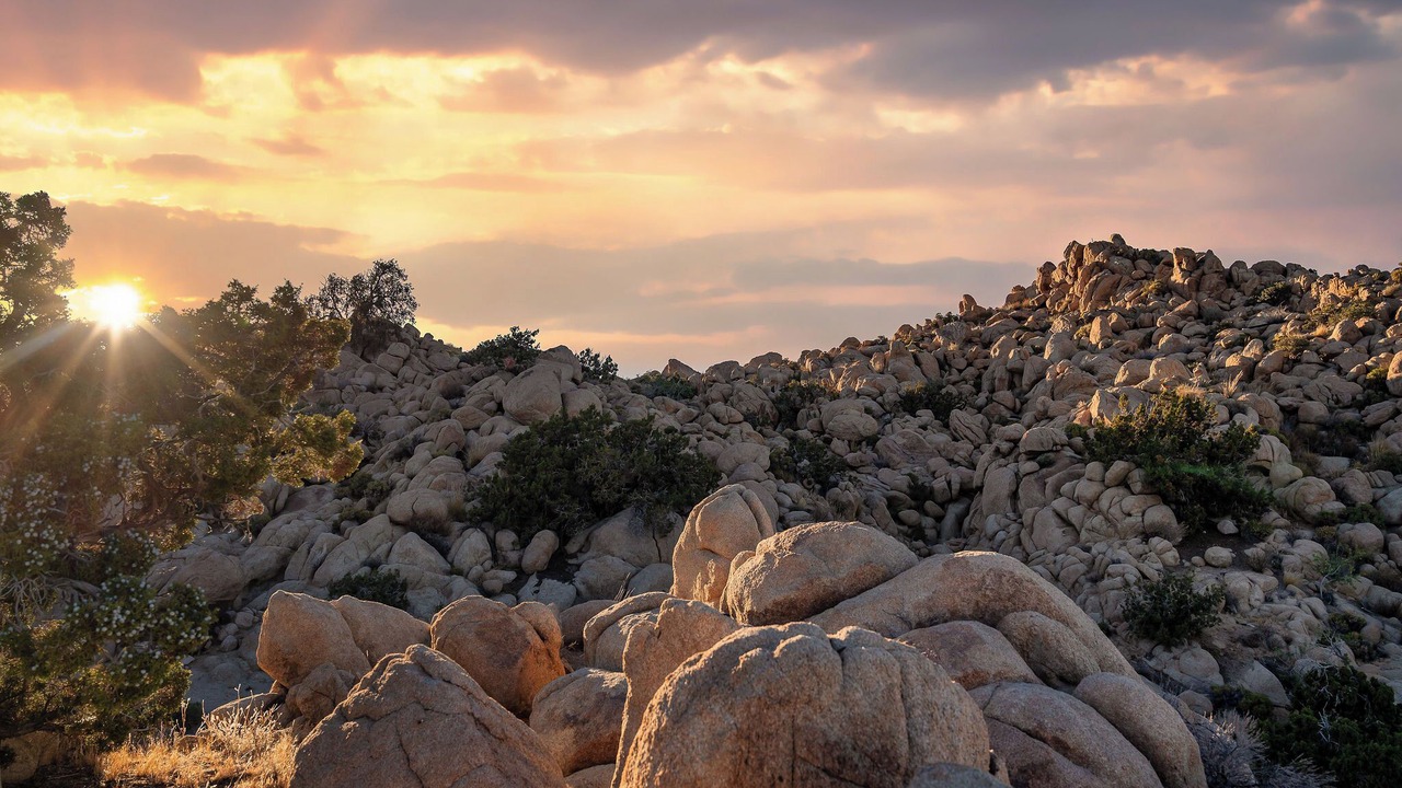 Photo of Others in Yucca Valley