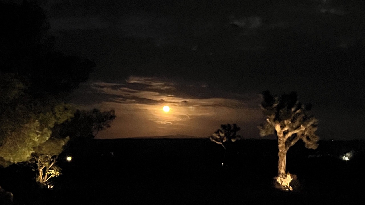 Photo of Others in Yucca Valley