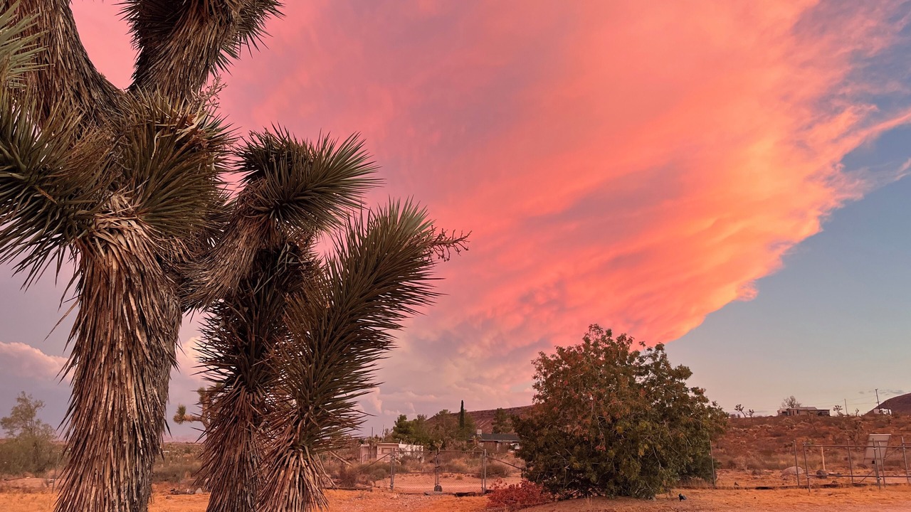 Photo of Outdoor in Yucca Valley