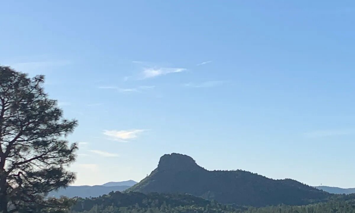 Photo of Outdoor in Highland Pines