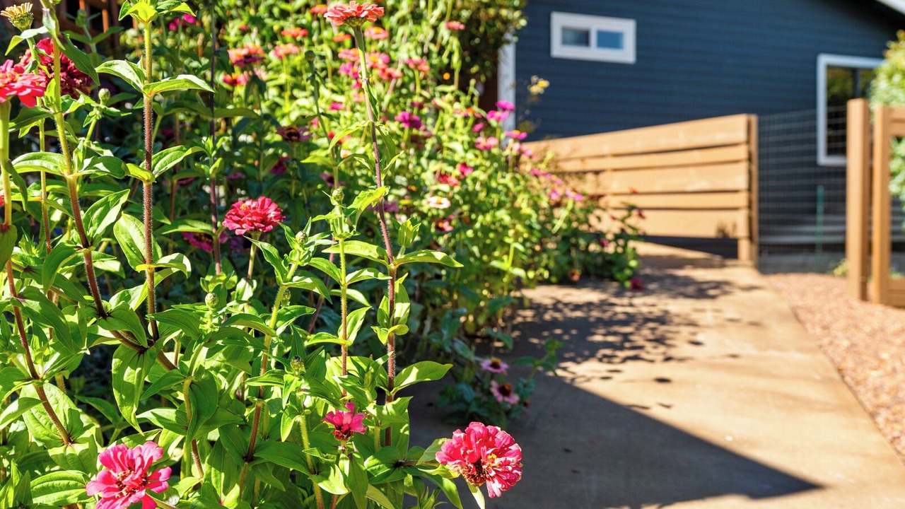Photo of Outdoor in Prescott
