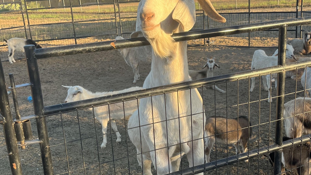 Photo of Others in Hemet
