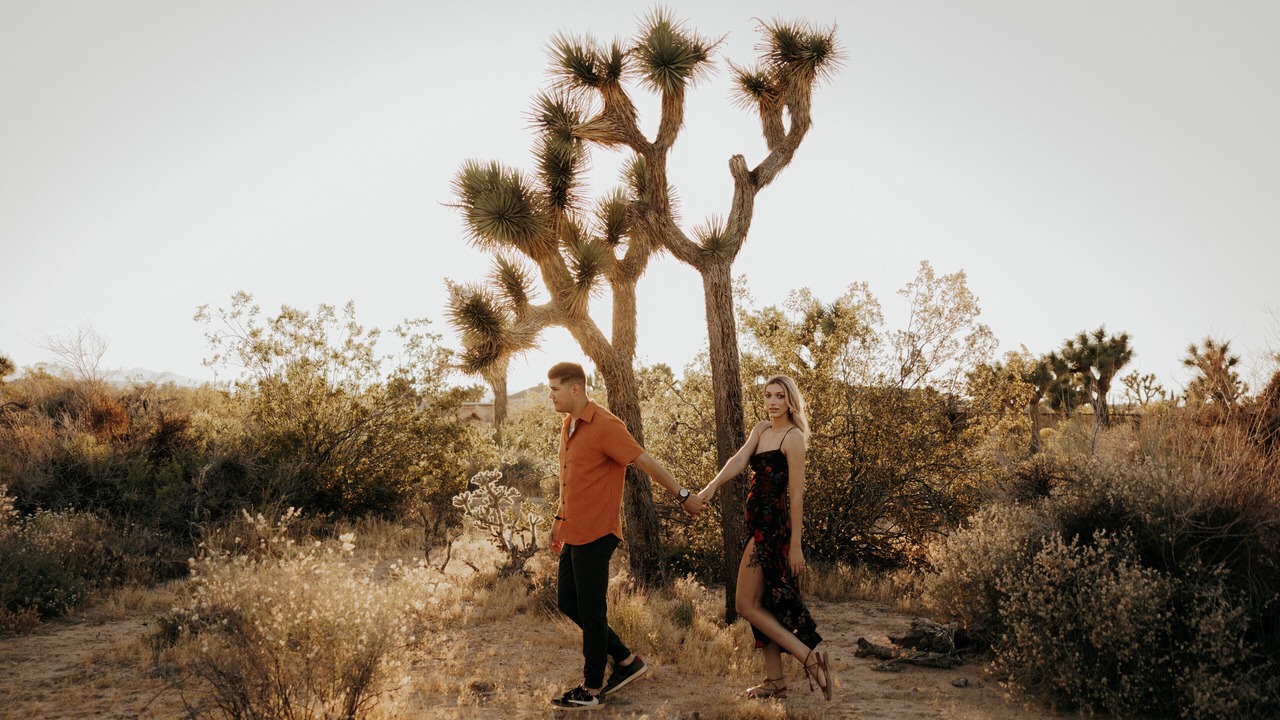 Photo of Others in Yucca Valley