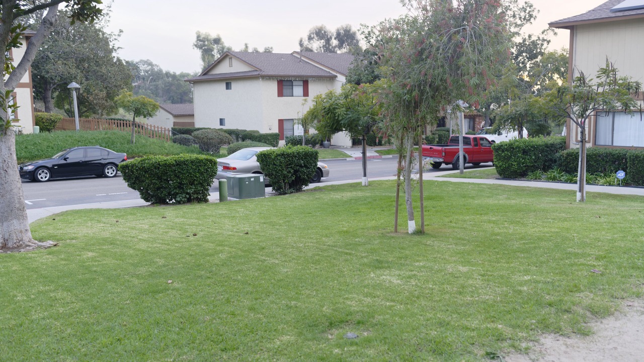 Photo of Outdoor in Lincoln Acres