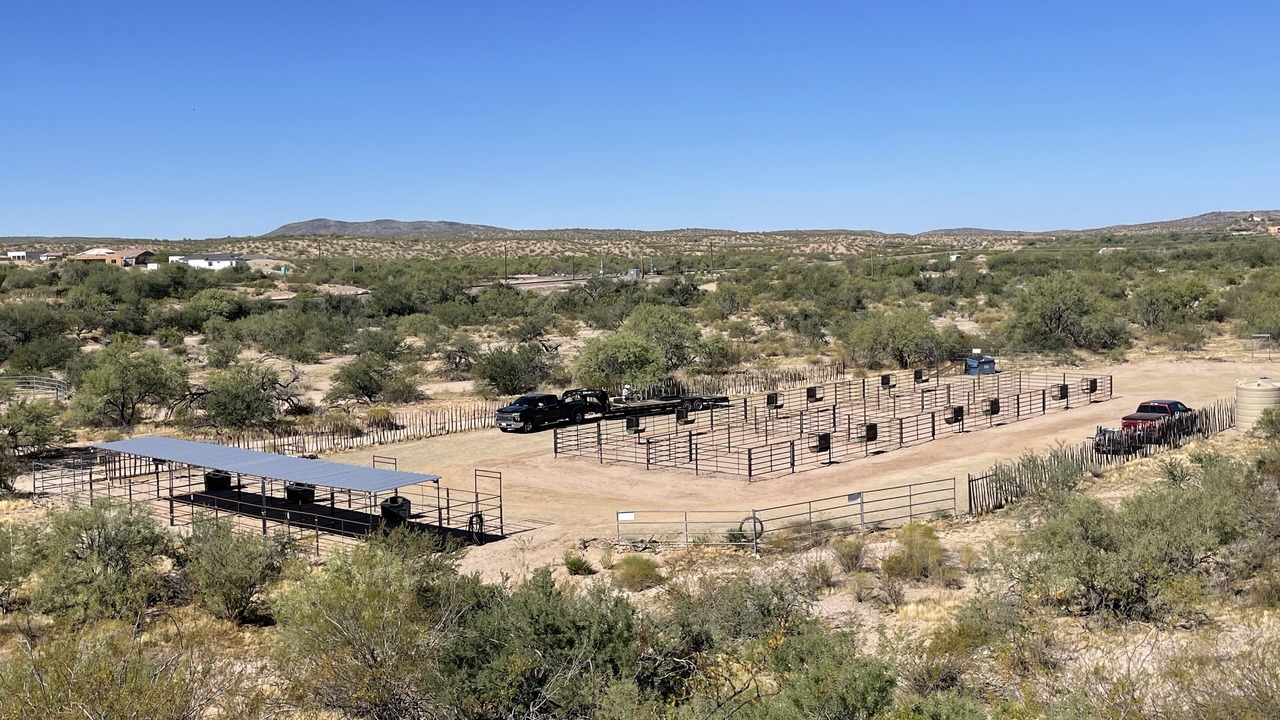 Photo of Others in Wickenburg