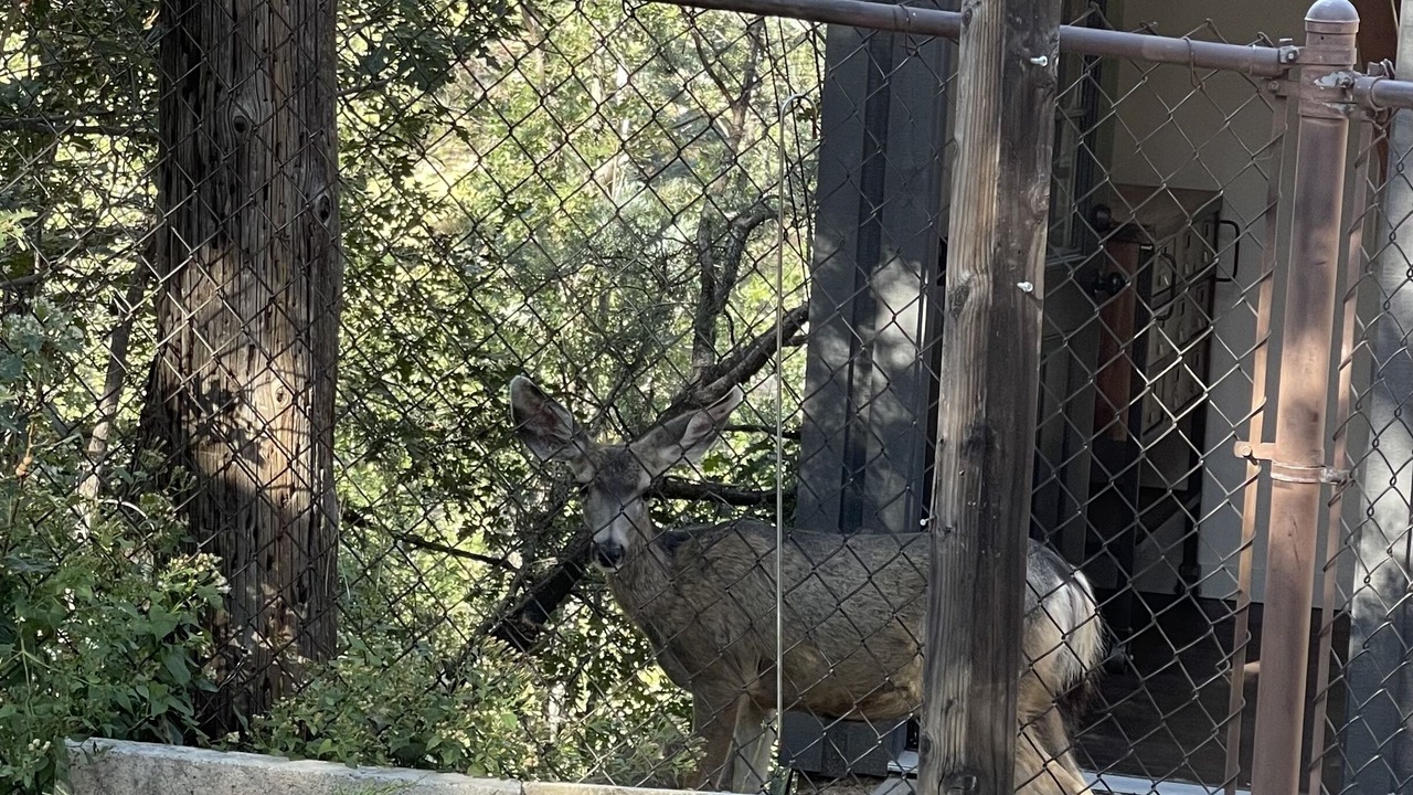 Photo of Outdoor in Groom Creek