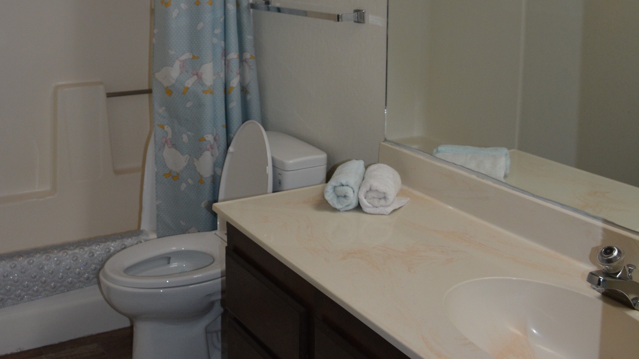 Photo of Bathroom in Truckee