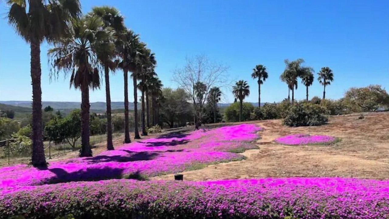 Photo of Outdoor in Fallbrook