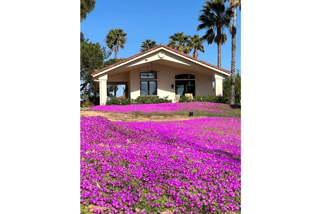 Photo of Outdoor in Fallbrook