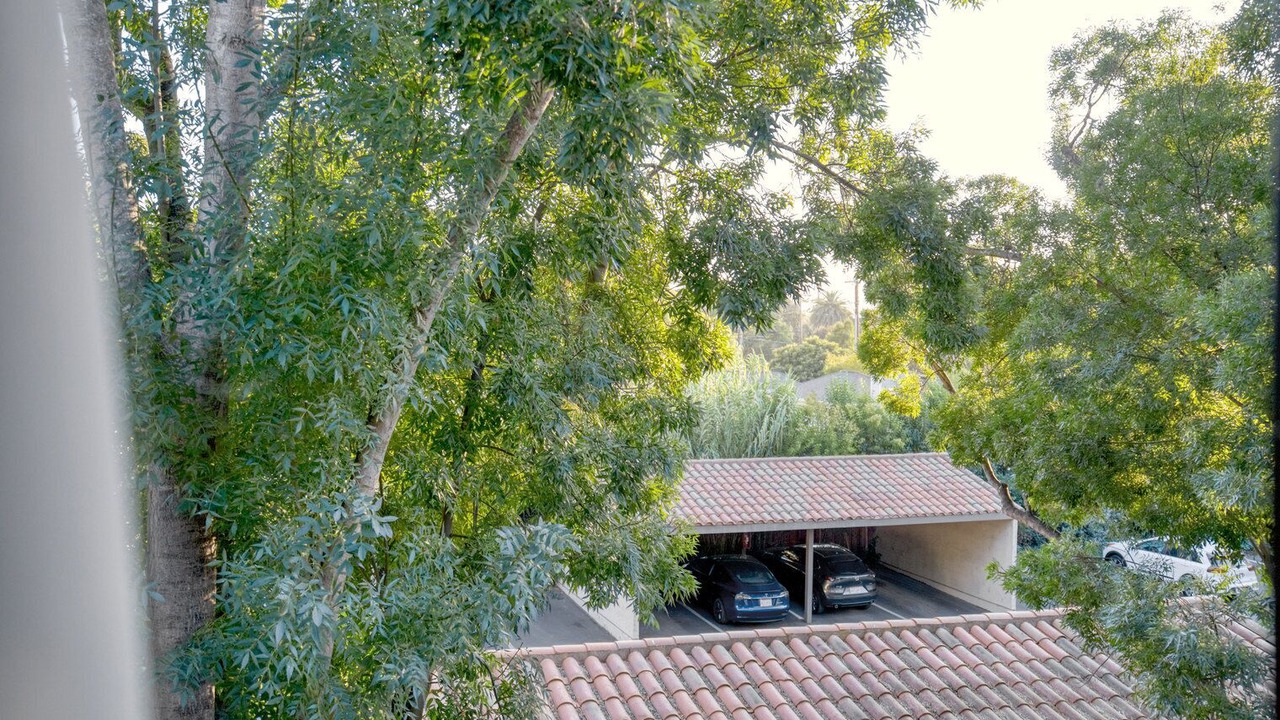 Photo of Outdoor in Shoreline West