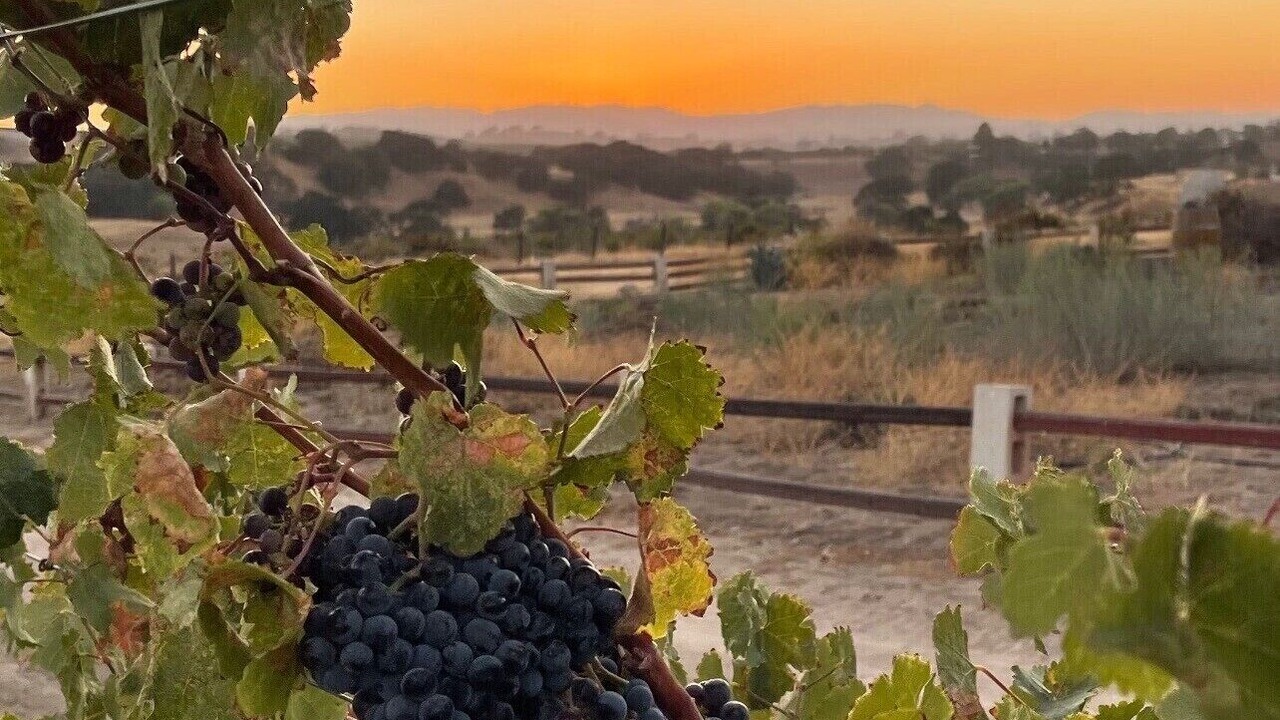 Photo of Outdoor in Paso Robles