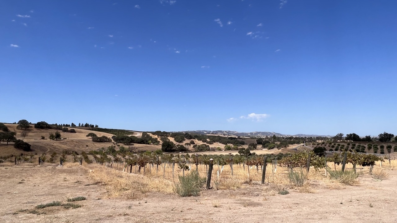 Photo of Others in Paso Robles