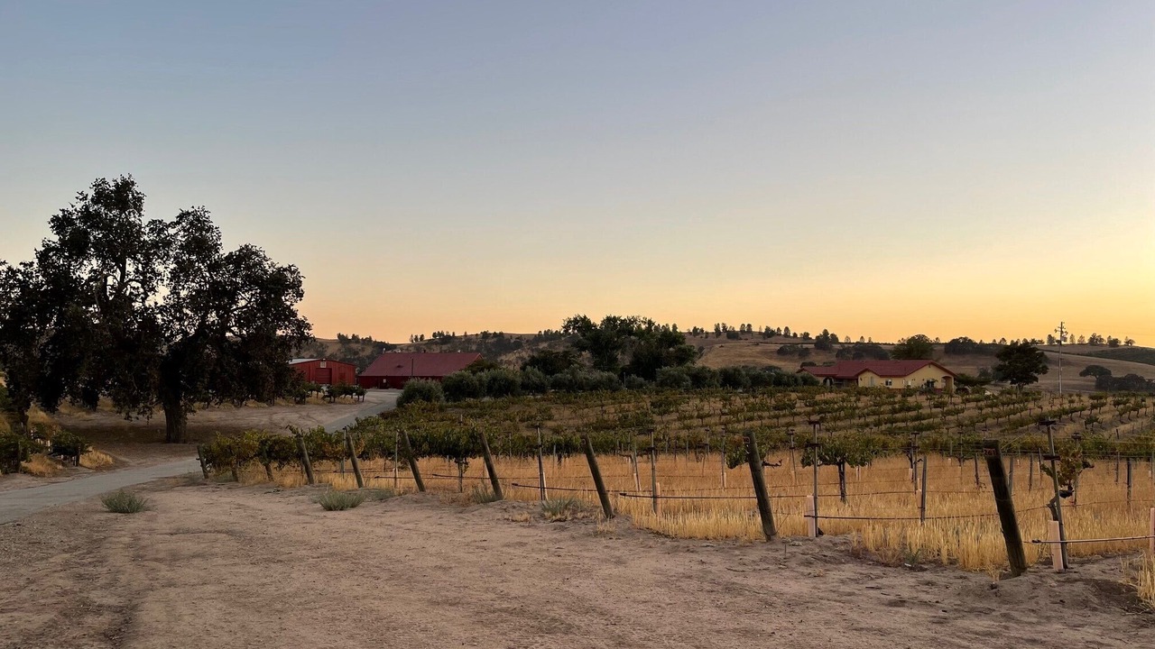 Photo of Others in Paso Robles