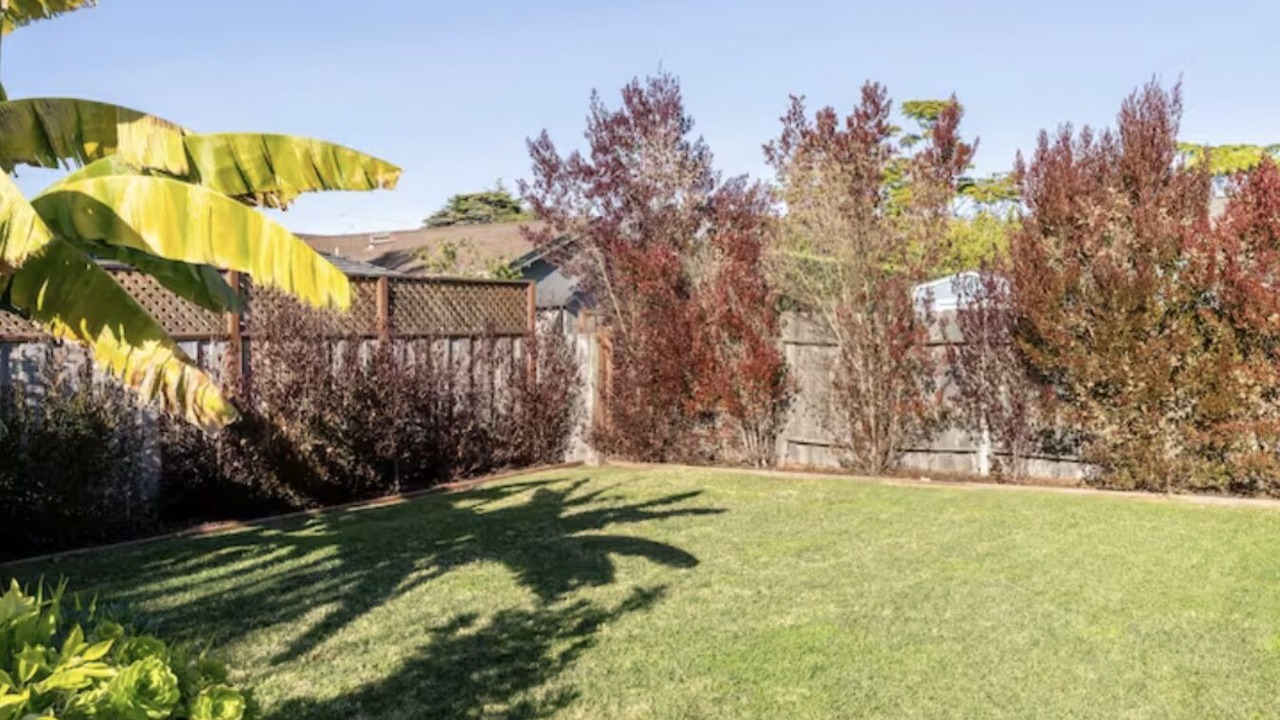 Photo of Outdoor in Opal Cliffs