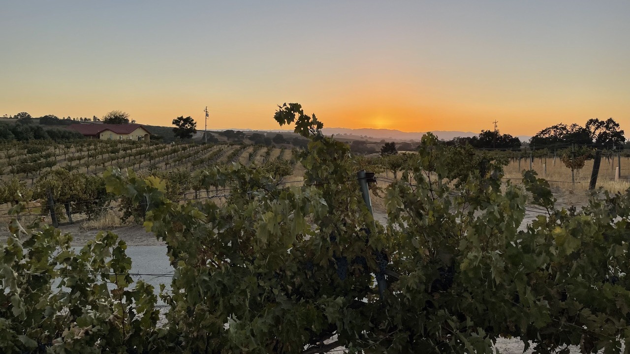 Photo of Outdoor in Paso Robles