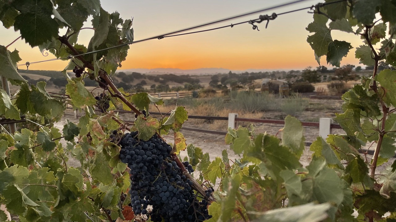 Photo of Outdoor in Paso Robles