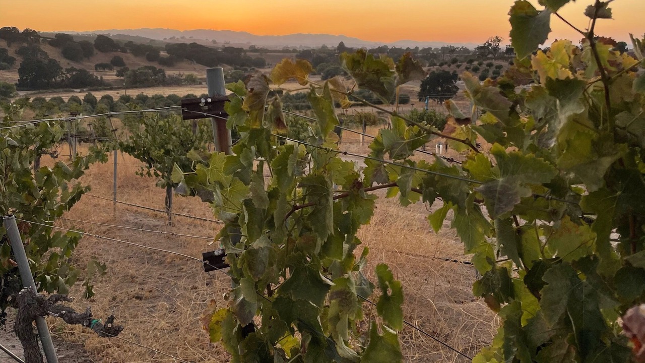 Photo of Outdoor in Paso Robles