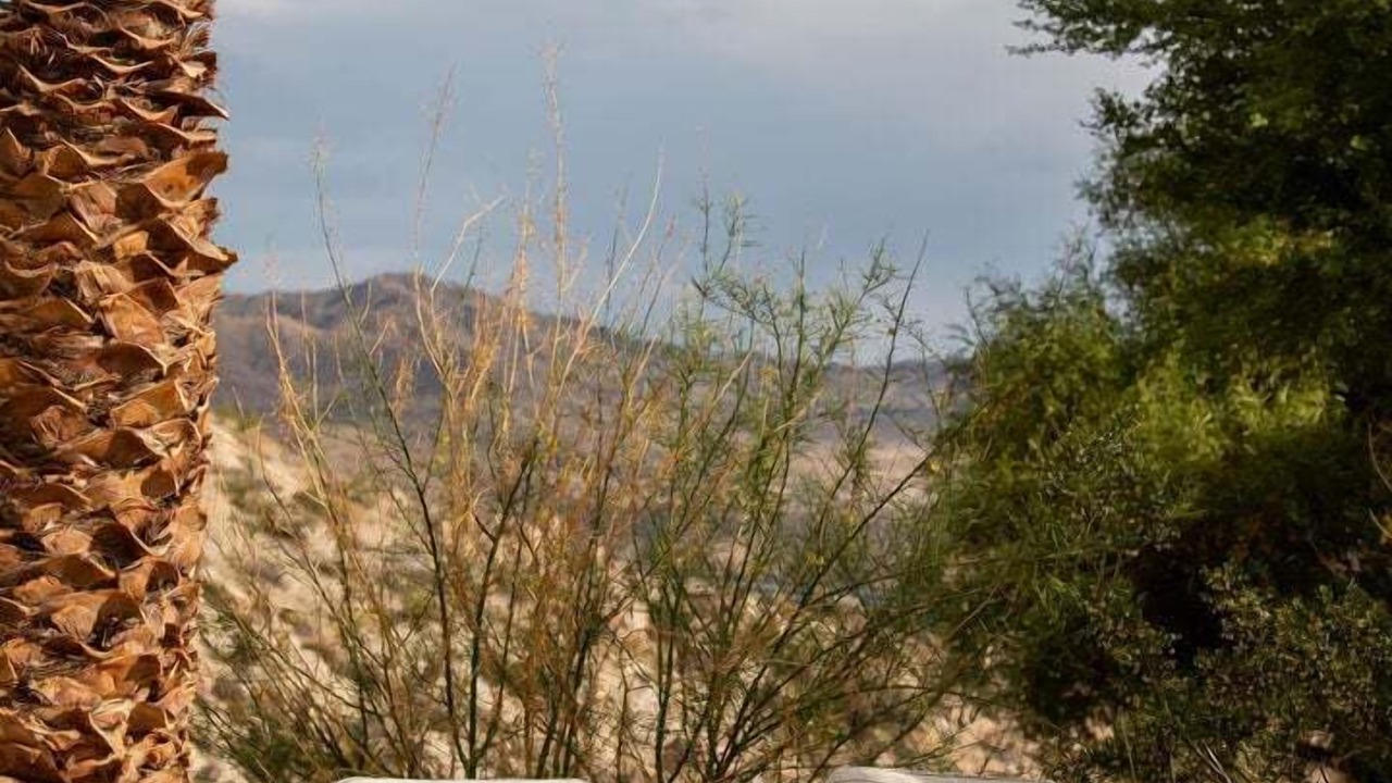 Photo of Others in Yucca Valley