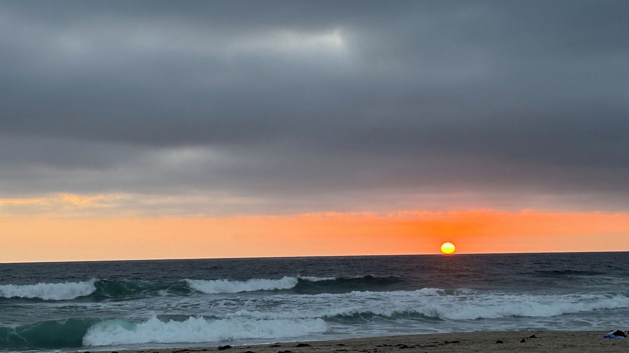 Photo of Others in South Mission Beach