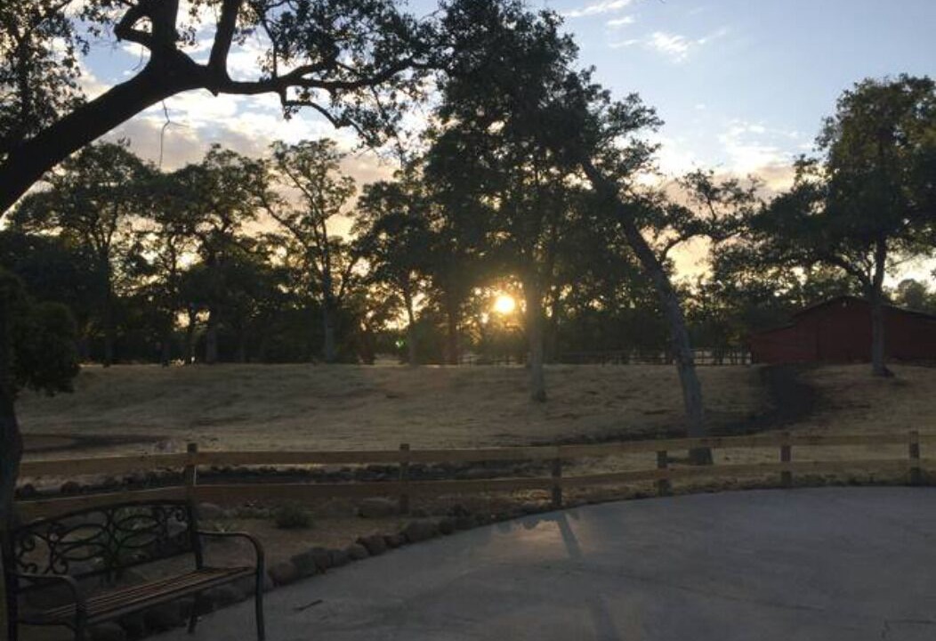 Photo of Outdoor in Chico