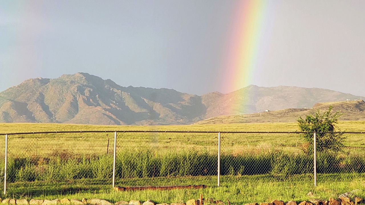 Photo of Others in Chino Valley