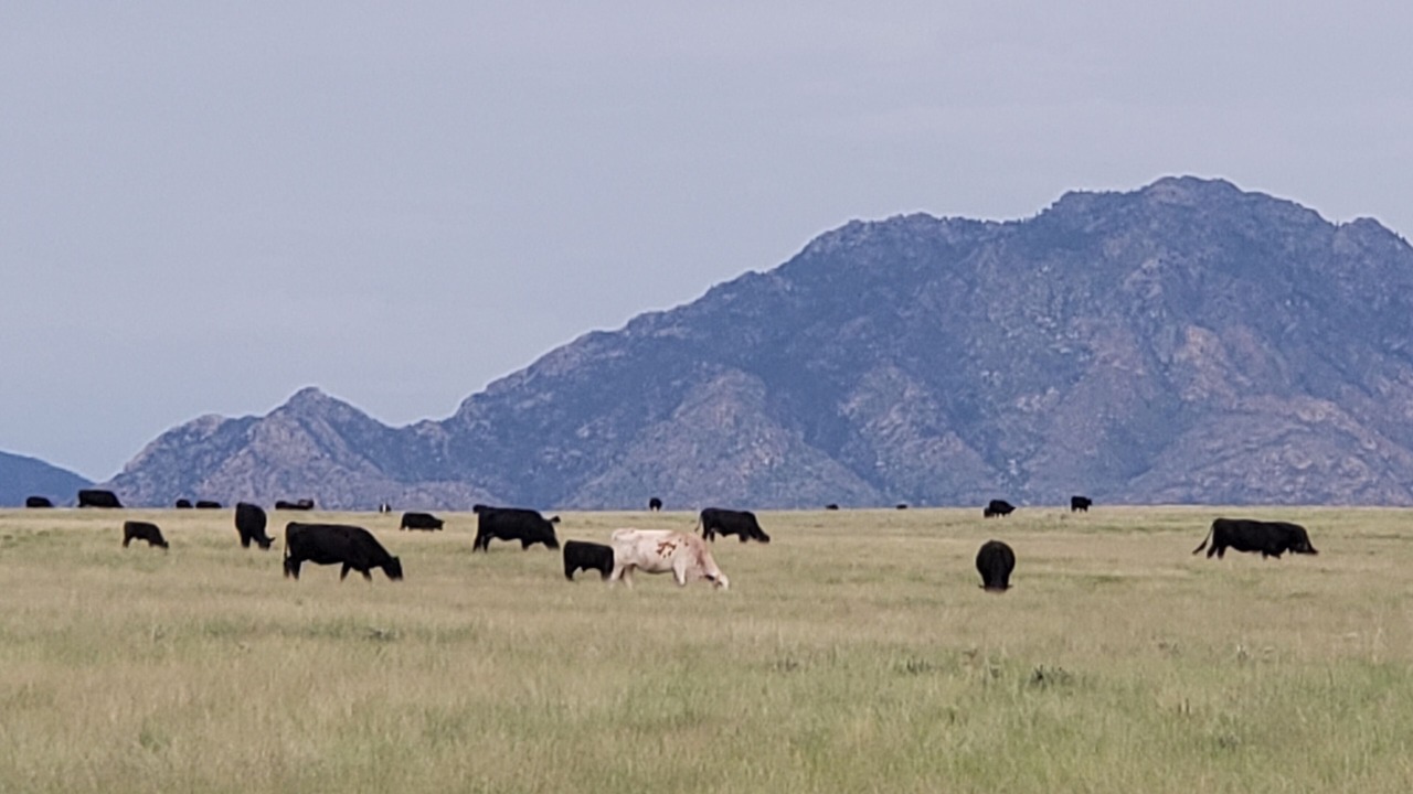Photo of Others in Chino Valley
