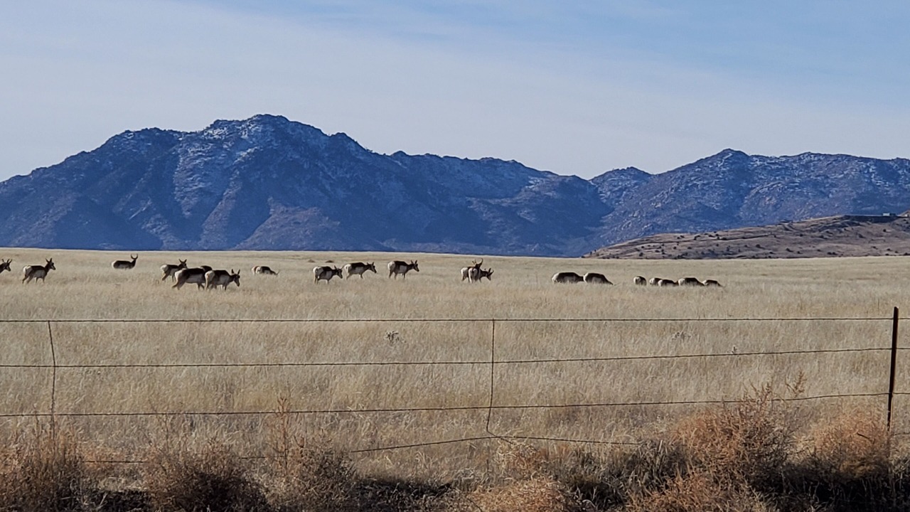 Photo of Others in Chino Valley