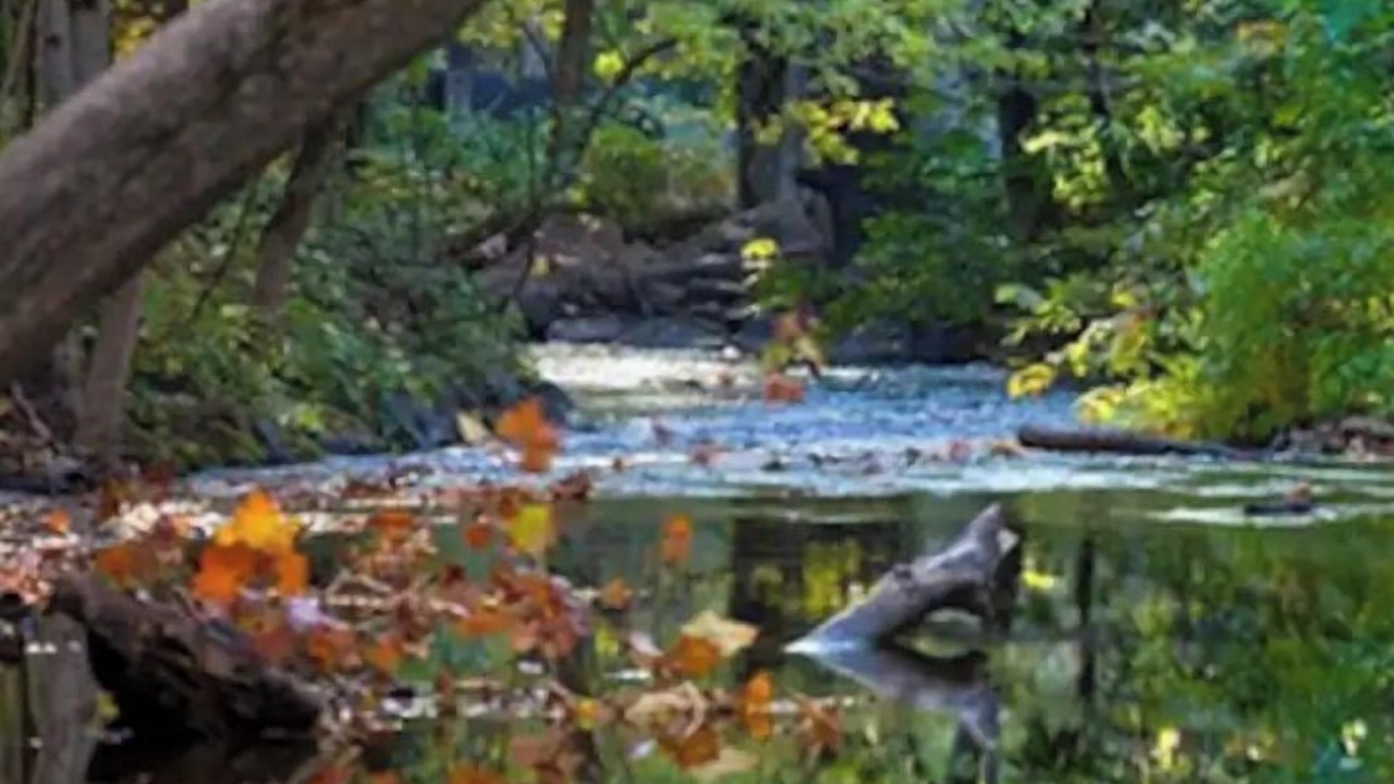 Photo of Outdoor in Chico