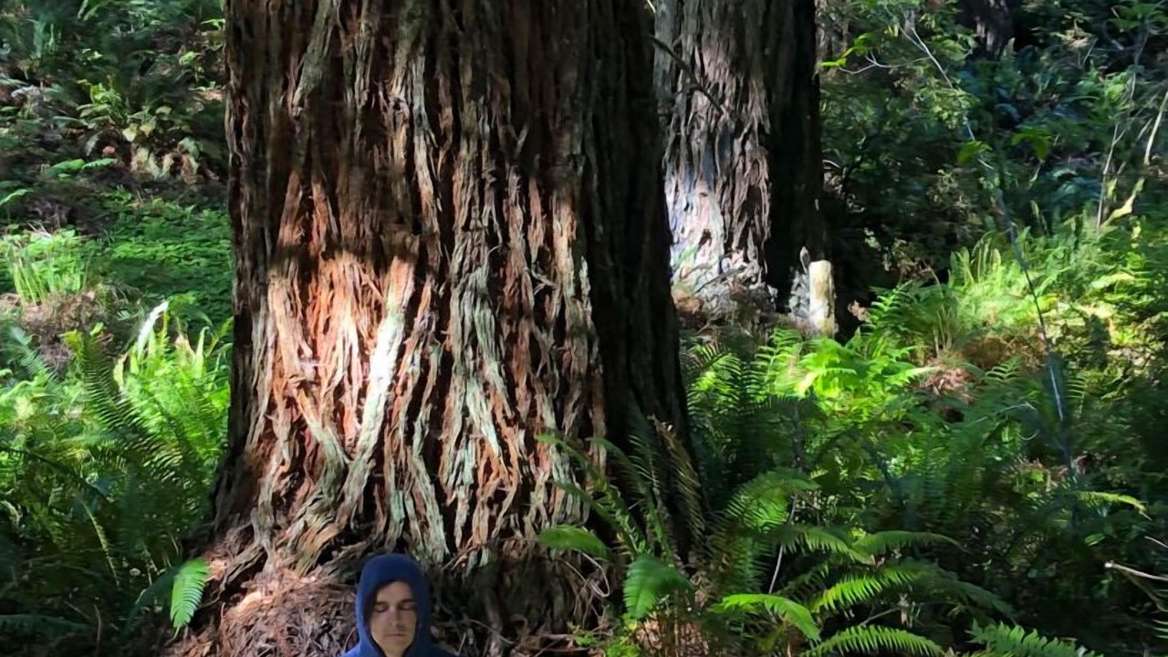 Photo of Outdoor in Fort Bragg