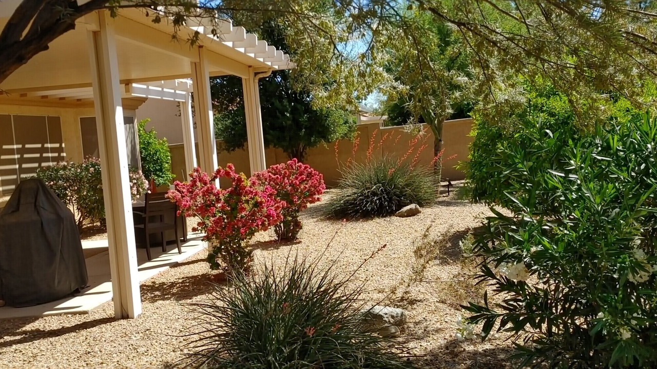 Photo of Others in Sun City West