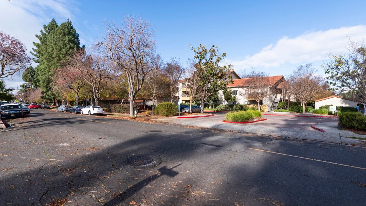 Photo of Outdoor in Shoreline West