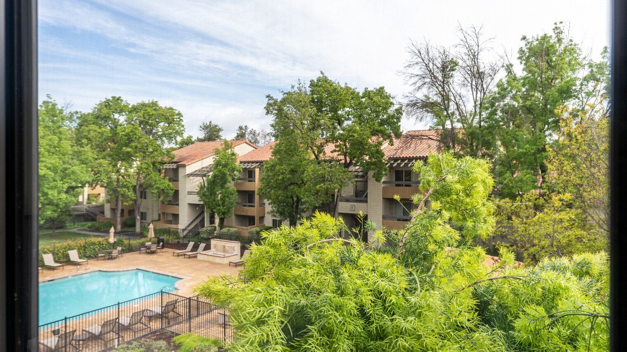 Photo of Outdoor in Shoreline West