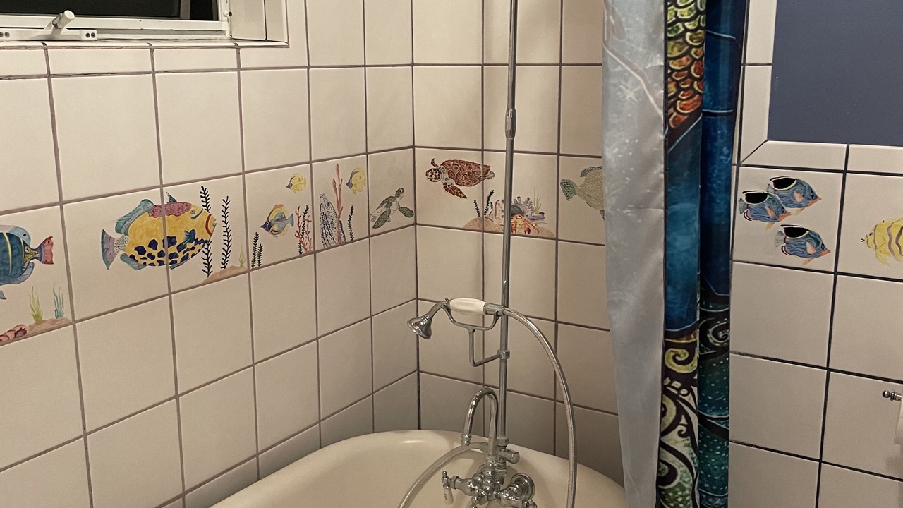 Photo of Bathroom in Imperial Beach