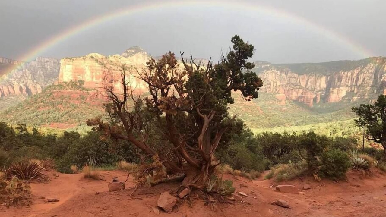 Photo of Others in West Sedona