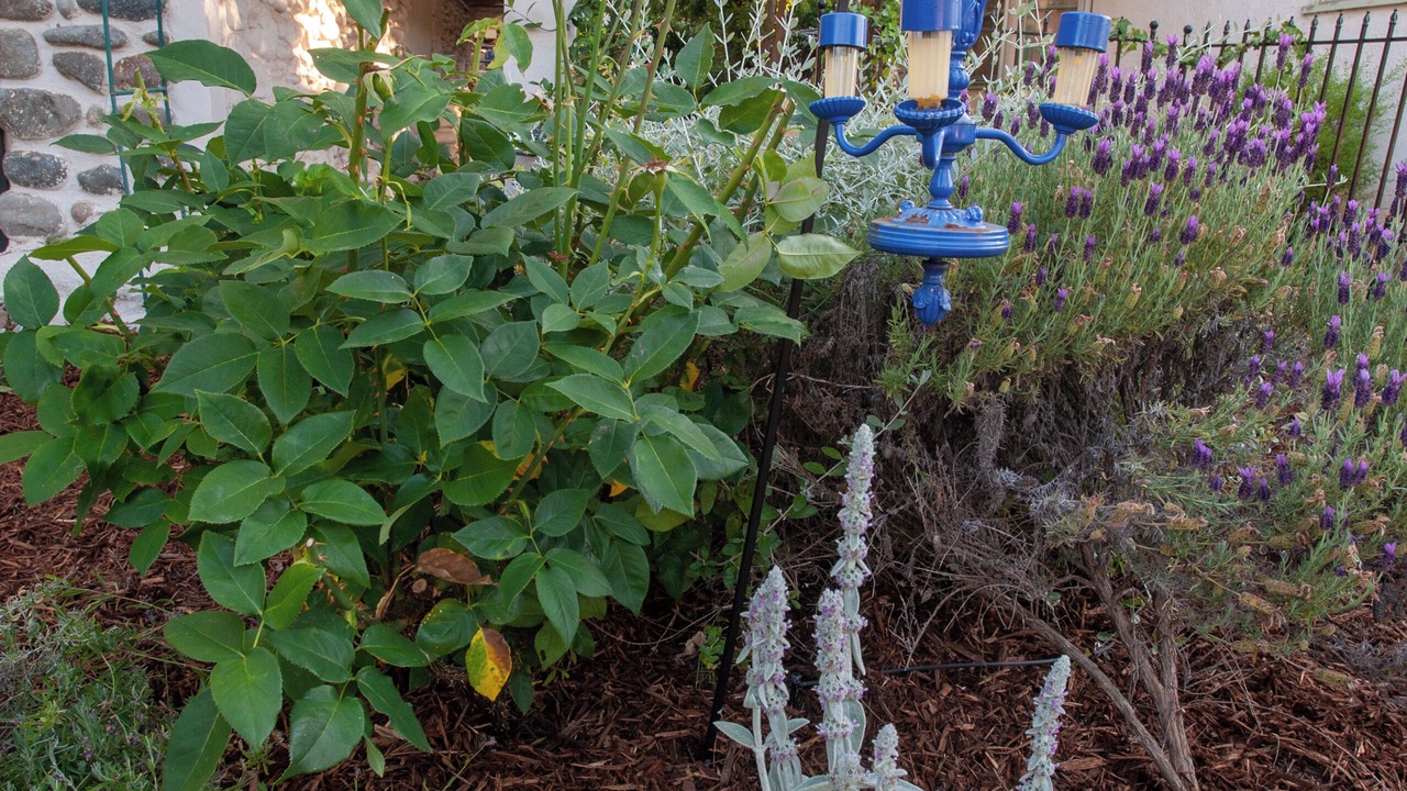 Photo of Outdoor in Redding