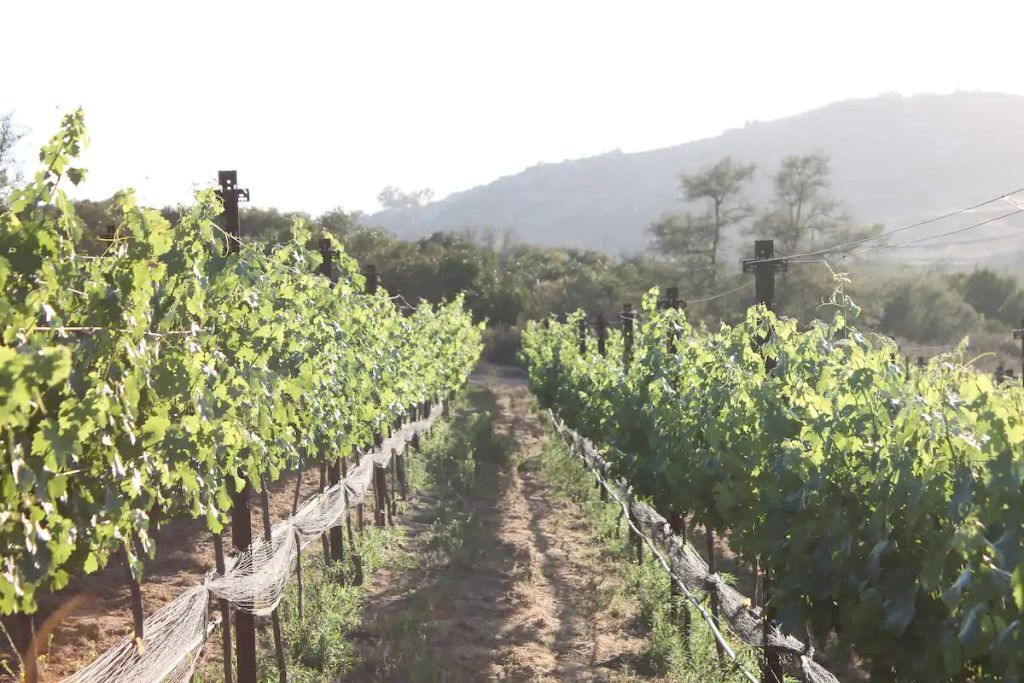 Photo of Outdoor in Ramona
