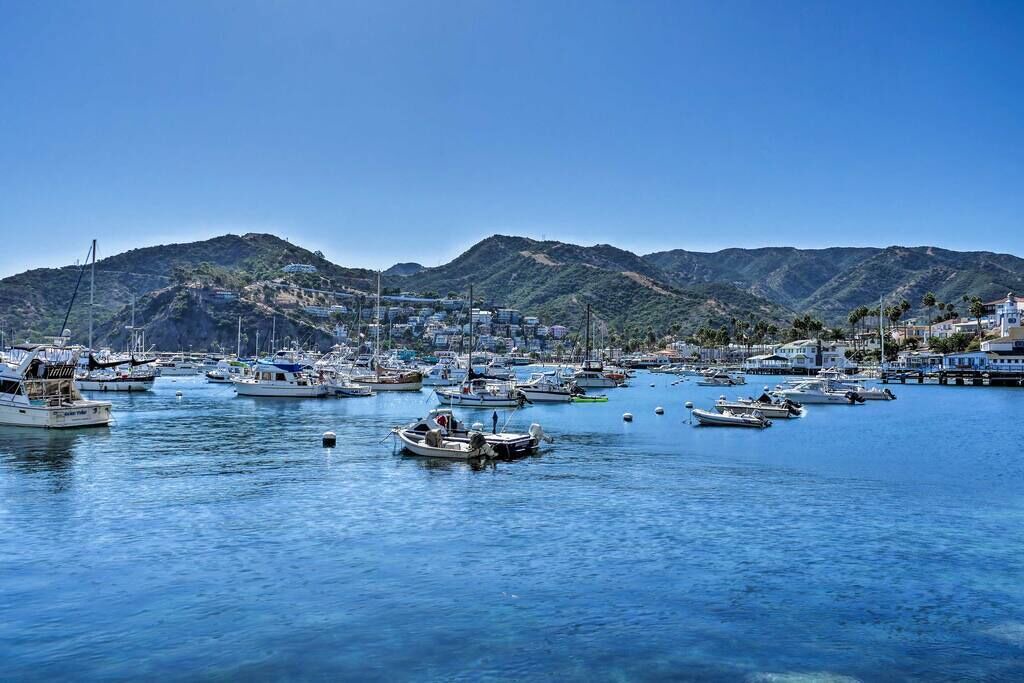 Photo of Others in Avalon