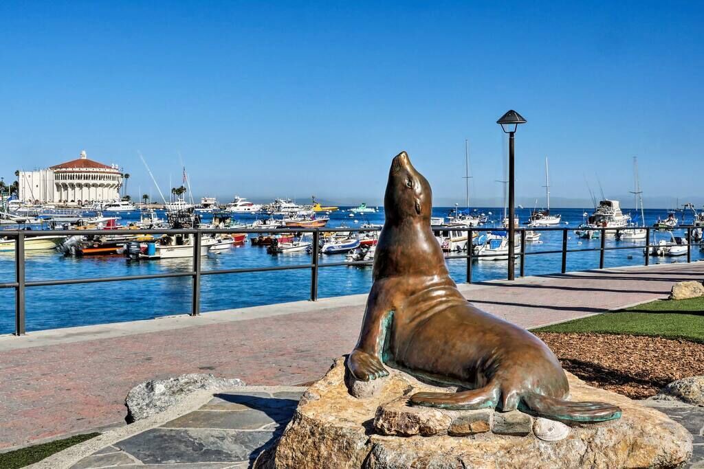 Photo of Others in Avalon