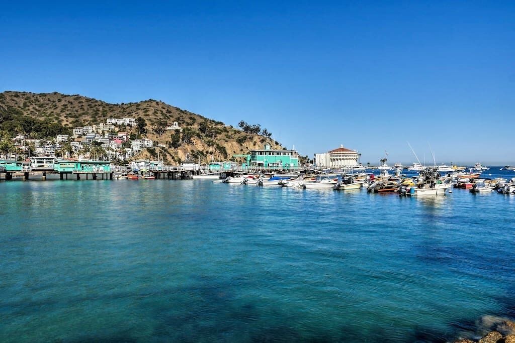 Photo of Others in Avalon