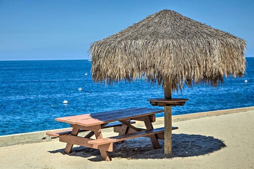 Photo of Others in Avalon