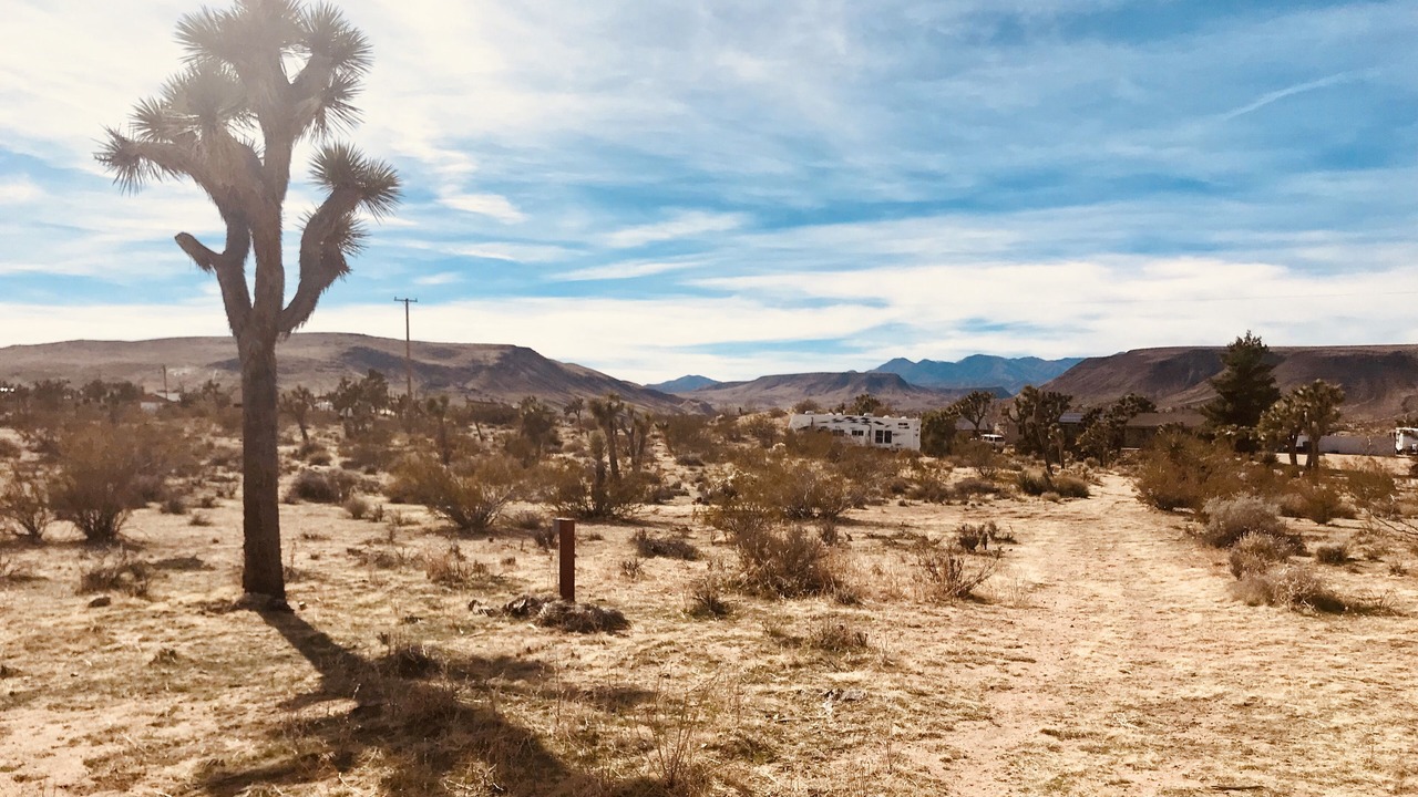 Photo of Others in Yucca Valley