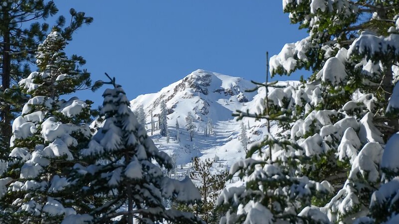 Photo of Outdoor in Alpine Meadows