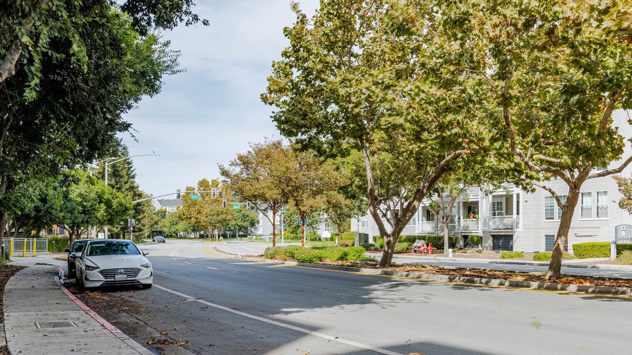 Photo of Outdoor in Santa Clara