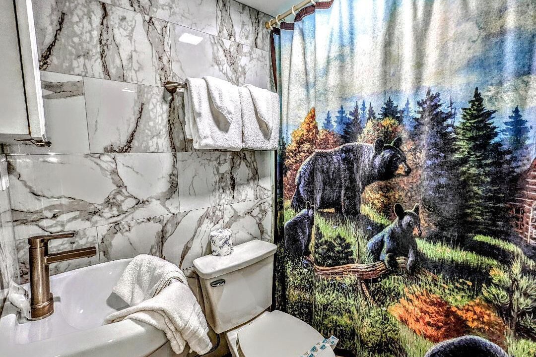 Photo of Bathroom in Big Bear Lake