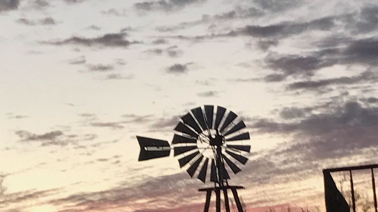 Photo of Others in Quartzsite